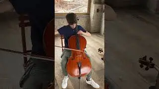 Sound sample 4 Violoncello Stelio Rossi, Siena 1983