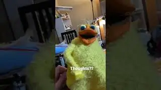 Thoughts?! Added Ostrich feathers and some yellow fur/feather material #puppets #muppets