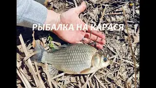 Рыбалка на Карася 19.05.2024г.