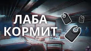ЛАБА КОРМИТ / Escape from Tarkov / METAFORM HIGHLIGHTS