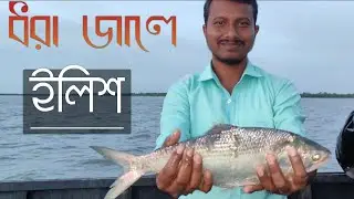Sundarban fishing || ইলিশ/পমফ্রেট || সুন্দরবন ||Adventure in sundarban