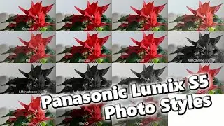 Panasonic Lumix S5 Photo Styles incl. V-Log, Cinelike,...