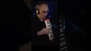 Твоей улыбки тень (фрагмент с пианикой)