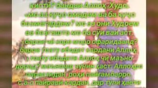 беҳтарин суруд 11-02-2019
