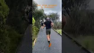 Fun Run from Dromana to Rosebud on Australia Day 2024