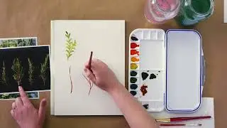 Beginner’s Watercolor Tutorial: How to Paint Sprigs and Foliage the Easy Way