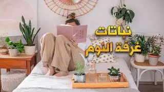 نباتات غرفة النوم هل سمعت عنها وما فائدتها