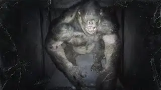 Прохождение Metro Exodus (Метро: Исход) — Часть 23