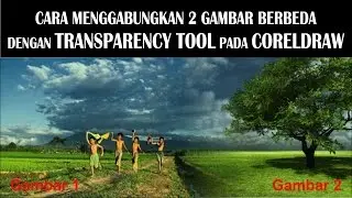 Cara Menggabungkan Gambar dengan Transparency Tool di CorelDRAW