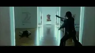Hapkido scenes in the John Wick movies