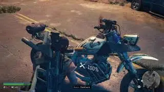 Days Gone