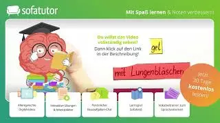 Atmungsorgane des Menschen – Bau, Funktion & Aufgaben