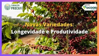 Podcast #125 - Novas Variedades - Longevidade e Produtividade