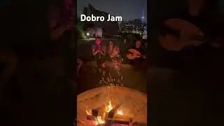 Vibes of a Dobro Jam at Trillium park in Ontario Place