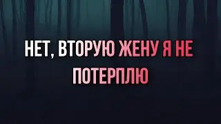 Нет, вторую жену я не потерплю