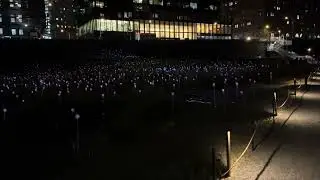 Walkthrough of Field of Lights NYC