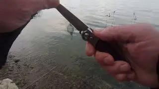 И ЭТО РЫБА после жары.