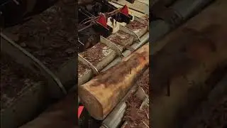 Torno Descascador Arredondador de Toras - High Speed | Modelo Vantec #shorts