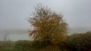 Karuzina Evgeniia 