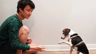 Teaching an Old Dog a New Trick