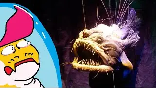 Subnautica: Below Zero Part 1 Snake Mad scared of fish.