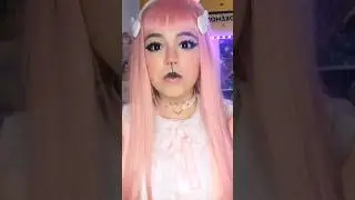bunny bunny 