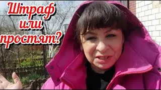 Пришла посылка с нарушением. Нам грозит штраф. Подготовка к празднику. Пеку торт для внука.
