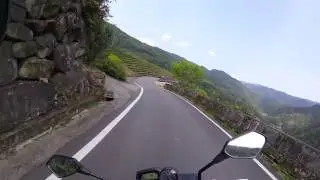 Narrow roads on tea mountain