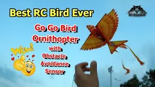 Best RC Bird Ornithopter Fly Like a real bird Go Go Bird