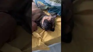 Я prosto лежу 🤣 