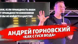 Андрей Горновский - 