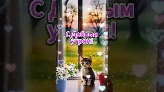 С Добрым утром!#shorts