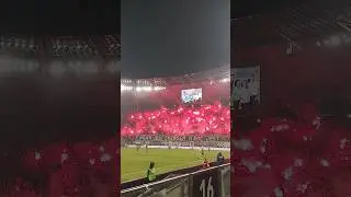OPRAWA KIBICÓW ŚLĄSKA NA MECZU Z LEGIĄ #slask #legia #wks #wrocław #oprawa