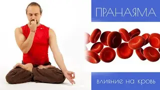 Анулома Вилома - пранаяма дыхательные упражнения для начинающих. Влияния пранаямы на кровь.