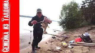 Лещ на донки с электронными сигнализаторами