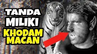 CIRI CIRI ORANG MEMILIKI KHODAM MACAN