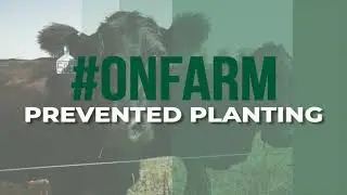 #ONFARM: Prevent Plant and Excess Moisture