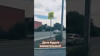 Дорожный знак осторожно дети на дороге! 