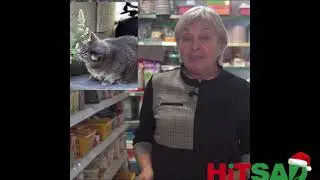 Трава для кошек выбор и посадка.