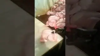Вот как нас обманывают