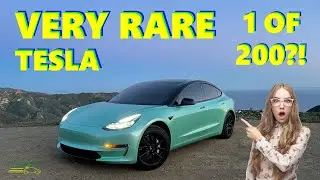 TESLA ONLY MADE 200 OF MY LFP CAR | 2021 Tesla Model 3 LFP