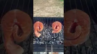 Рыбка для всех
