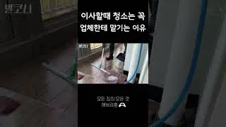 청소업체 현장 실황🧹