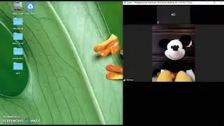 Create Zoom Breakout Rooms