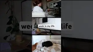 week in my life as a graphic designer! 