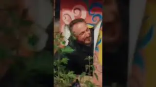 Старый и Крастер решили играть в прятки по-хардкору🔥