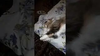 ты словно воздух для меня