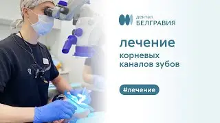 👨‍⚕️ Лечение корневых каналов зубов