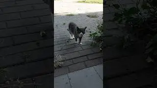 Джонни поведал тайну! #shorts