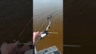 I'm an addict!  #amsbowfishing #bowfishing #bowfishinglife #shorts